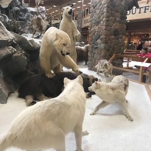 Meet your Posher, Staci